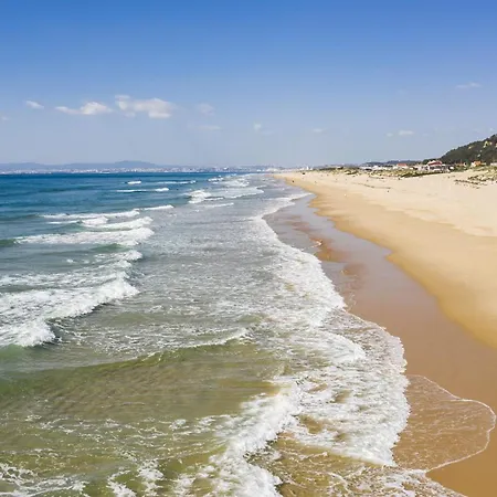 Alva * Aroeira (Setubal)